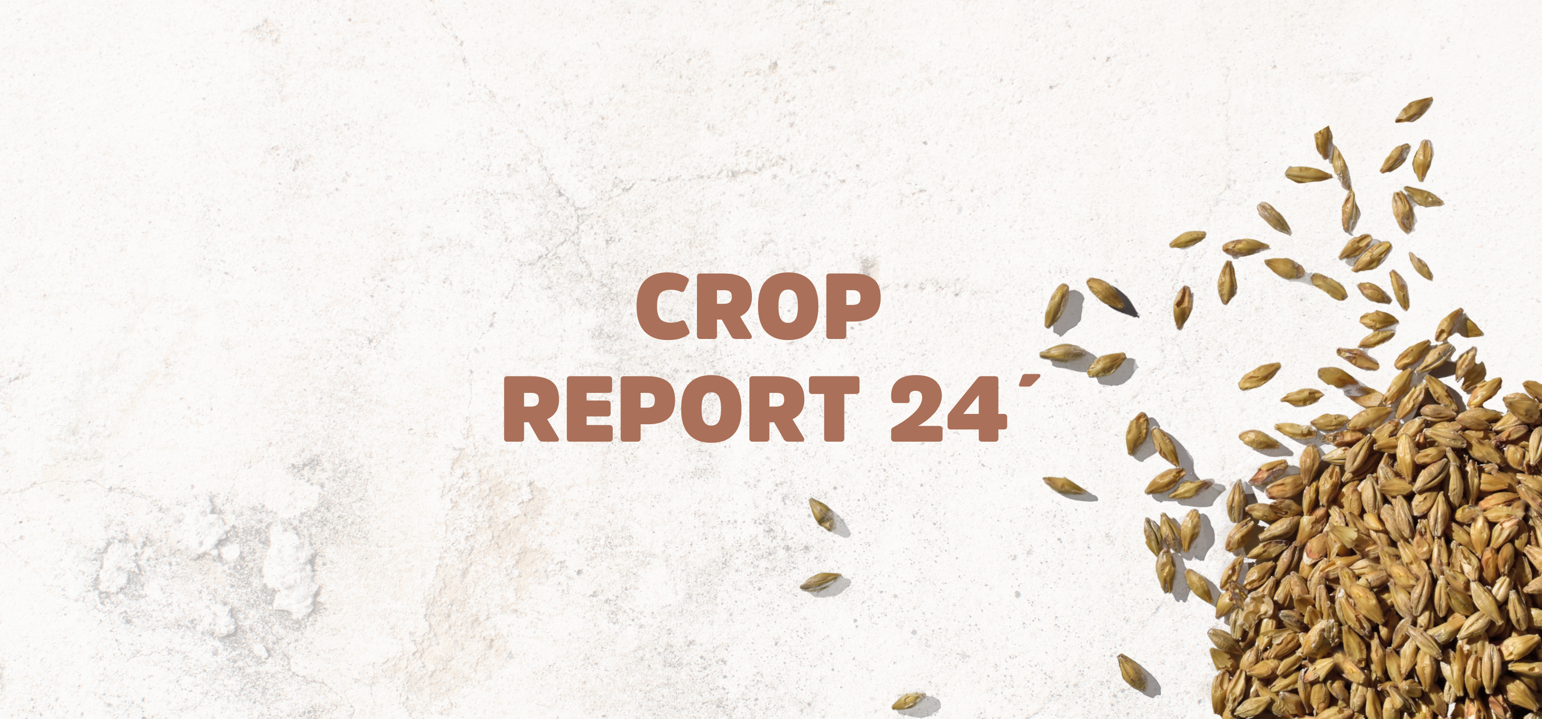 Reporte Cosecha de Cebada 23/24