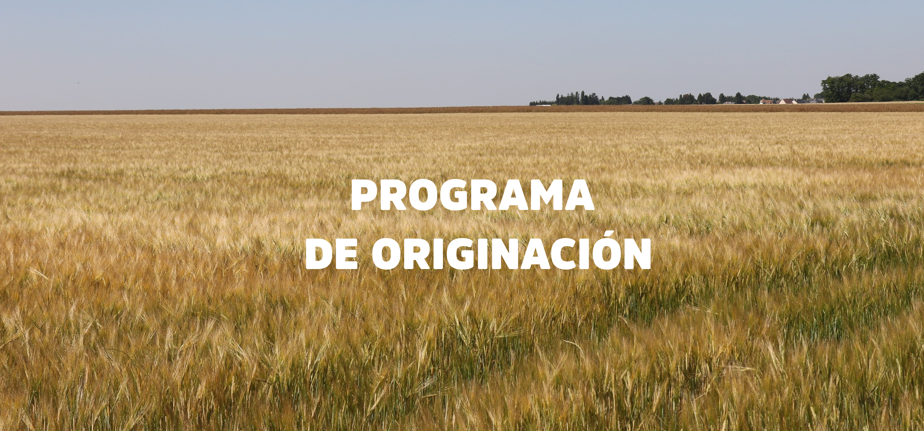 Conocé más sobre nuestro Programa de originación 