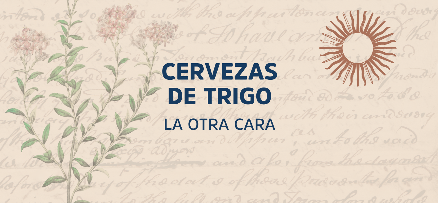 Cervezas de trigo: la historia del Witbier 