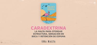 La búsqueda de la plenitud sensorial sin azúcares residuales indeseados