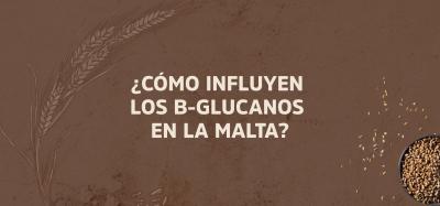 ¿Cómo influyen los B-Glucanos en la malta?