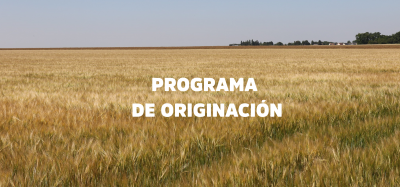 Conocé más sobre nuestro Programa de originación 