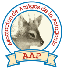 amigos